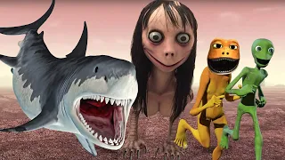 Dame Tu Cosita vs Patila Missed the Stranger (Compilation #4) SHARK MOMO ATTACK