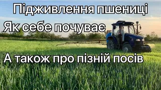 Все буде Україна! Підживлюєм пшеницю, чим саме та чому розказую все детально. Трактор ДТЗ 5504К