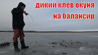 УБОЙНЫЙ БАЛАНСИР на ОКУНЯ!  На него КЛЮЁТ ВСЕГДА.  зимняя рыбалка на окуня