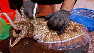 Amazing！Cutting Huge Cuttlefish at Taiwanese Seafood Market/驚人的港口巨大花枝, 墨魚切割技-台灣海鮮-Taiwanese Seafood