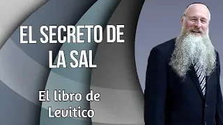 El Secreto de la Sal - el libro de Levitico