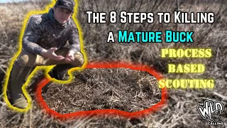 The 8 Steps to Harvesting a Mature Buck: Process Based Scouting
