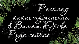 487 🍉 КАКАЯ МАГИЯ УШЛА ИЗ ВАШЕГО ДРЕВА РОДА. ТРАНСФОРМАЦИИ СТРУКТУРЫ РОДА | РАСКЛАД ТАРО ОНЛАЙН