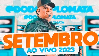 TARCISIO DO ACORDEON - CD AO VIVO VAQUEJADA DE SERRINHA - SETEMBRO - 2023 (Dodô Diplomata)