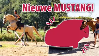 EEN MUSTANG OPHALEN & WEER SPRINGLES! | felinehoi VLOG #602