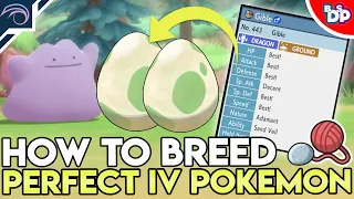 HOW TO BREED PERFECT IV COMPETITIVE POKEMON in Pokemon Brilliant Diamond and Shining Pearl
