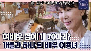 [FULL영상] 집 안이 온통 개판(?) 유기견 70마리와 함께 사는 배우 이용녀의 일상