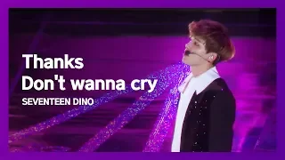 190115 서울가요대상 세븐틴 디노(SEVENTEEN DINO) 고맙다+울고 싶지 않아 직캠