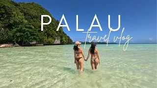 Palau Travel Guide and Vlog | swimming with sharks🦈 in the best water in the world🤿