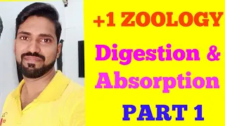 +1 Zoology digestion and absorption in malayalam | part1 | Plusone zoology digestion and absorption