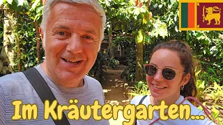 SRI LANKA Kräuter- und Gewürzekunde- KOSTENLOS...🤔