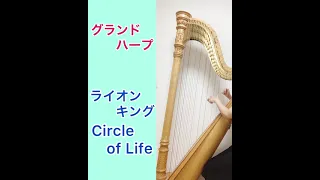 【ハープ演奏】ライオンキングよりサークルオブライフ