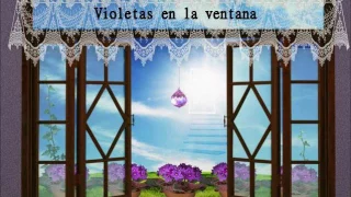 Audio Libro - Espiritismo - Violetas en la Ventana - Médium - Vera Lúcia Marinzeck de Carvalho.