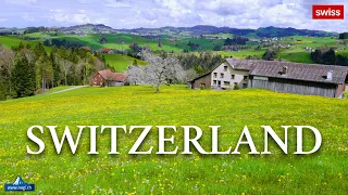 🏠🌷🌺🐐 Appenzell the Most Beautiful Place in Switzerland | #swiss #swissview