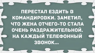 Перестал ездить в командировки. Сборник Свежих Анекдотов! Юмор!