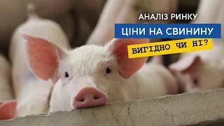 Ціна на свинину, свинарство все ще вигідно? Аналіз українського та світового ринків мяса