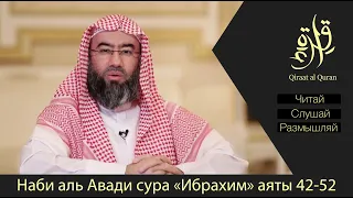 Не думай, что Аллах не ведает о том, что творят беззаконники. | Наби аль Авади