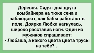 Два Друга Комбайнера Интересуются Трусами Доярки! Сборник Свежих Смешных Жизненных Анекдотов!