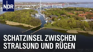 Der Dänholm: Schatzinsel zwischen Stralsund und Rügen | die nordstory | NDR Doku