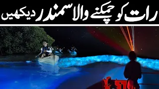 Dunya Ka Woh Samandar Jo Raat Ko Chamakta Hai Urdu Documentary - دنیا کے  چمکنے والے سمندر