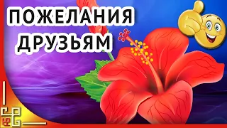 Желаю Вам! Пожелания друзьям