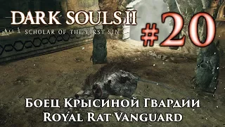 Боец Крысиной Гвардии: Dark Souls 2 / Дарк Соулс 2 - тактика как убить, как победить босса ДС2