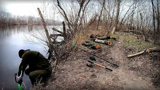 Весняний хід Тарані на Дніпрі !!! Фідер гне в бублик, тарань як цеглина!