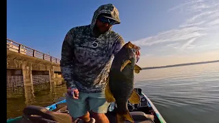 Bassmaster Opens EQ Wheeler Lake (Tournament Practice)