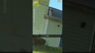 Guy Comes Home To Find Dog On Roof