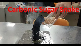 Black sugar snake experiment
