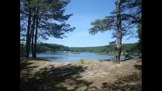 Хмельницкая область. Славутский район. Природа. Khmelnitsky region. Slavuta district. Nature.