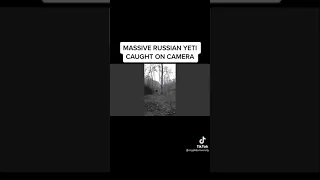 Massive Russian yeti caught on camera Bigfoot #bigfoot #yeti