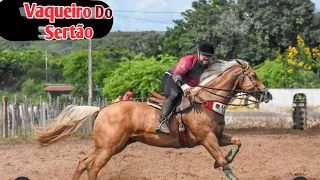 Coisas Do Interior - Zé Vaqueiro - [Vaqueiro Do Sertão]