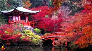 1 Hour Japanese Music | Japanese Zen Music, Relaxing Asian Music ♫399