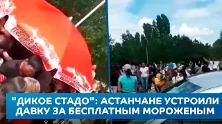 "Дикое стадо": Астанчане устроили давку из-за бесплатного мороженого