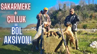 Çulluk - Meke Avı | Woodcock Hunting | Beccaccia | вальдшнеп