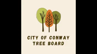 March 6, 2023 - Tree Board Meeting