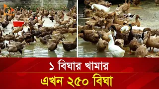 ১৬`শ টাকা পুঁজিতে এখন কোটিপতি | Duck Farming | Nagorik TV Special