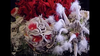 Community Artist Talk: Crochet Coral Reef with Margaret Wertheim
