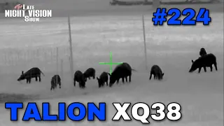 Ep. 224 | Pulsar Talion XQ38 **FEATURED REVIEW**