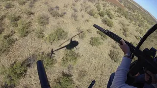 Heli Hog Hunting Texas Style