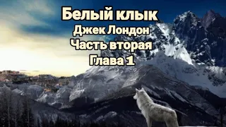 "Белый клык"/Джек Лондон/Часть вторая/Глава 1/"Битва клыков"