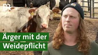 Kühe auf der Weide: Bei Bio bald Pflicht! Aber wie soll das gehen ohne Fläche? | Unser Land | BR