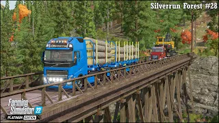 Forestry & Farming in Silverrun Forest Ep.28🔹Doing Five Tree Transport Contracts🔹FS 22