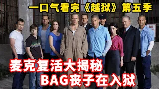 麦克复活大揭秘，bag丧子在入狱，一口气看完《越狱》第五季【特叔说剧】