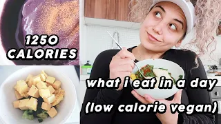 What I Eat In A Day (Low Calorie Vegan)