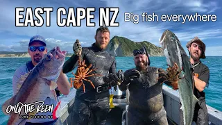 Big fish every drop, crayfish, Paua, and Snapper.  East Cape NZ.  #fishing #adventure #newzealand