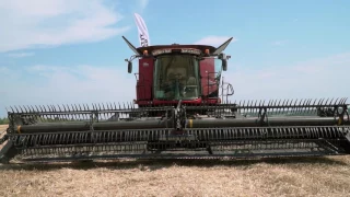 Case IH на полях господарства ТОВ «Прилуцький Хлібодар»