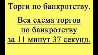 Вся схема торгов по банкротству за 11 минут 37 секунд.