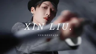 刘雨昕 XIN LIU INTRO FULL EDIT | yuxinpotato